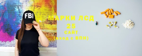 ПСИЛОЦИБИНОВЫЕ ГРИБЫ Заводоуковск