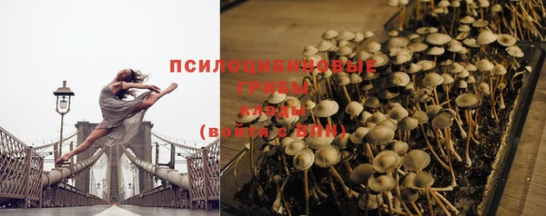 мескалин Ельня