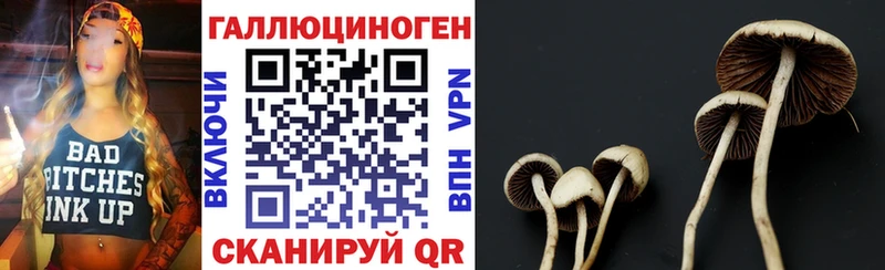 omg ссылки  Калининград  Галлюциногенные грибы Psilocybe 