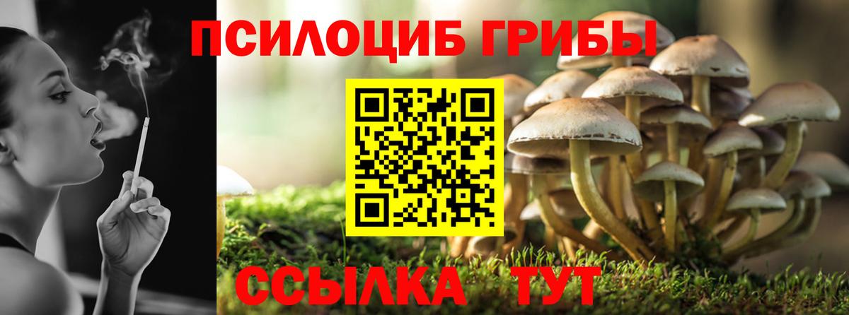 Калининград  Галлюциногенные грибы GOLDEN TEACHER  Вход с VPN 