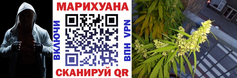 Конопля гибрид купить цена Калининград