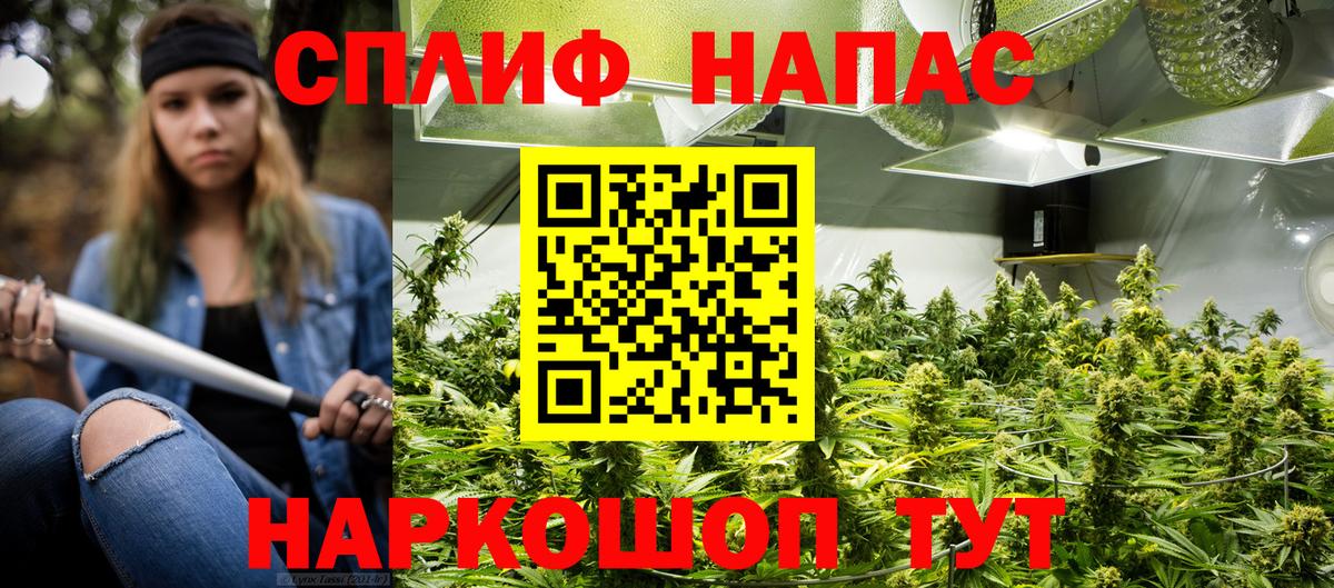 Марихуана ГИДРОПОН  Бошки Шишки LSD WEED  Вход с VPN  Калининград  Марихуана гибрид  Бошки Шишки Ganja 